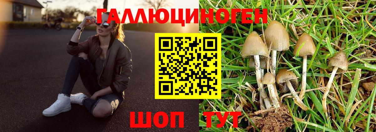 Псилоцибиновые грибы Cubensis  Вход с VPN  Псилоцибиновые грибы ЛСД  где купить наркоту  Южноуральск 